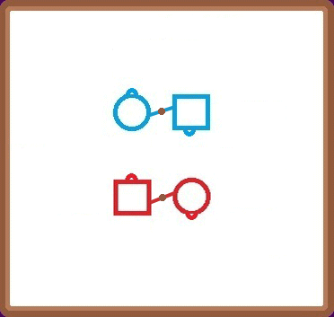 Animation for Follow Your Neighbor