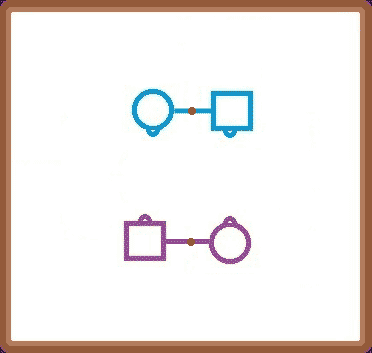 Animation for (anything) and roll - all roll